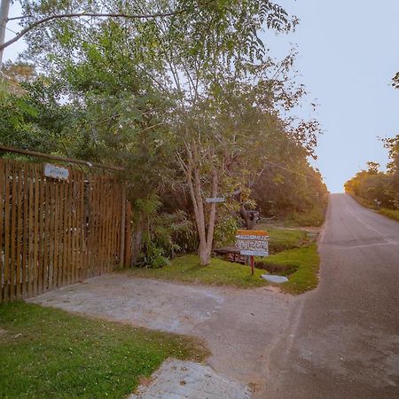 Aruana Suites Seu Refugio Entre Arvores A 5Km Da Vila De Praia Do Forte Bagian luar foto